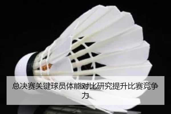 总决赛关键球员体能对比研究提升比赛竞争力
