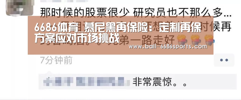6686体育_慕尼黑再保险:定制再保方案应对市场挑战(图4) 6686体育