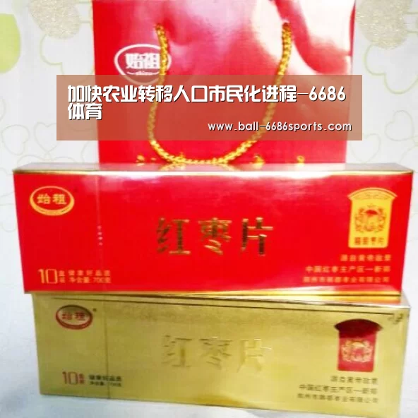 加快农业转移人口市民化进程-6686体育(图2) 6686体育