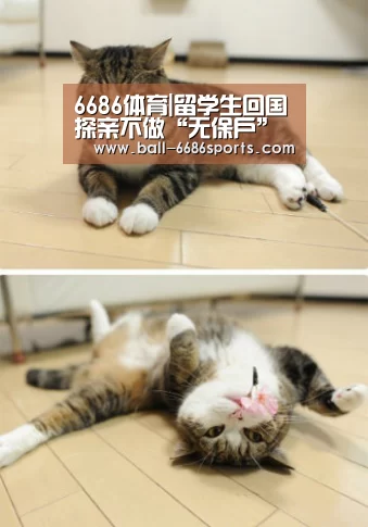 6686体育|留学生回国探亲不做“无保户”(图1) 6686体育